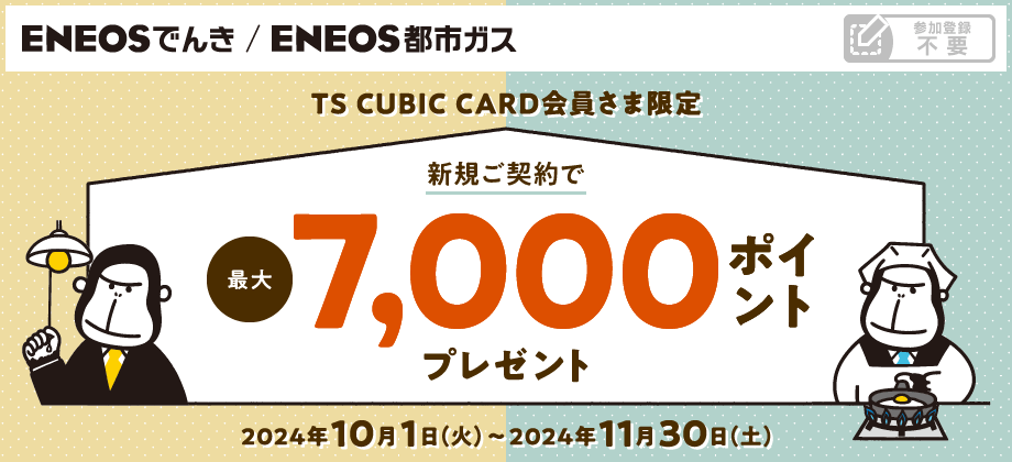 yTS CUBIC CARD܌zdmdnrł񂫁^dmdnrssKX_ōő7,000|Cgv[gI